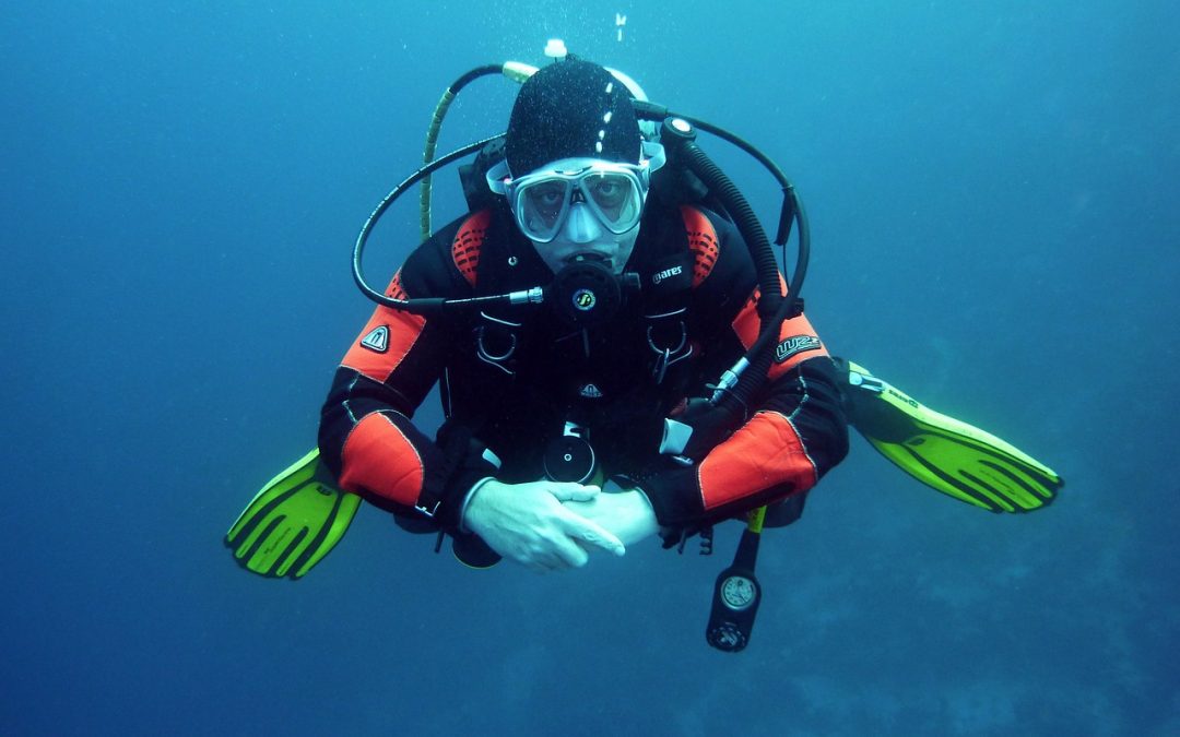 di Pelabuhan